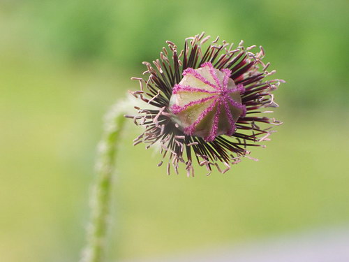  ::   15
