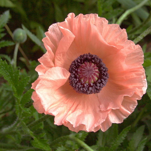  ::   25
