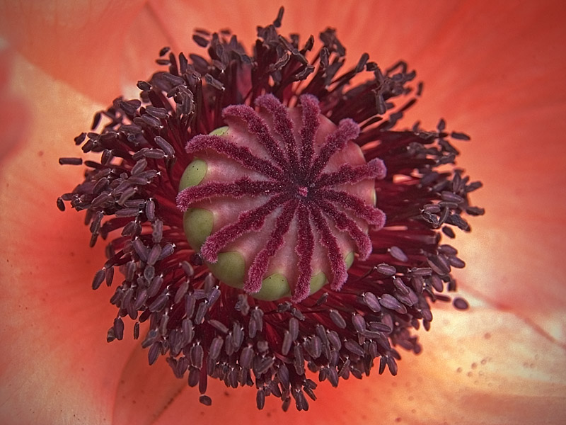  ::  ::  2