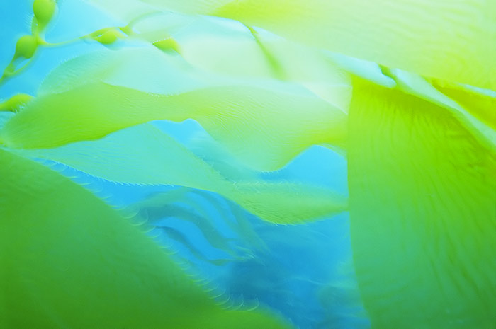   ::   ::  2