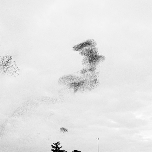   ::   4