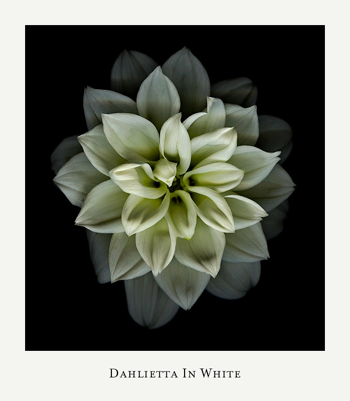  ::  ::  2