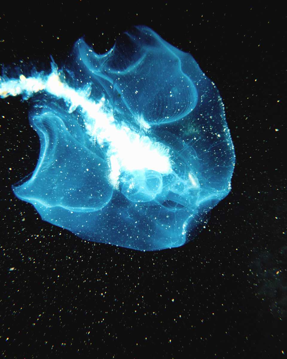   ::   ::  2