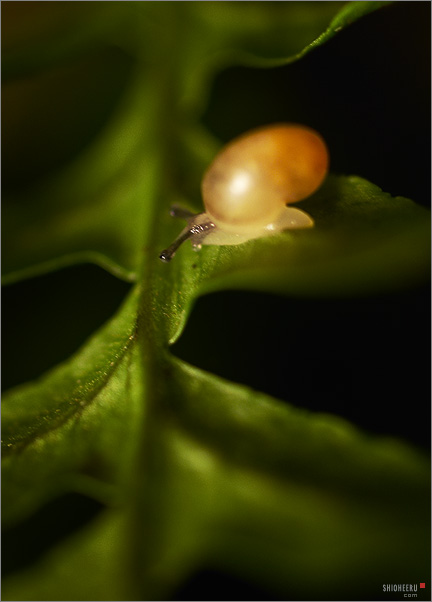  ::   ::  2