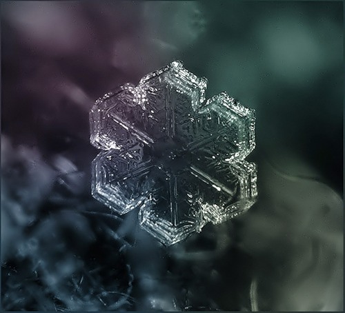  ::  ::  2
