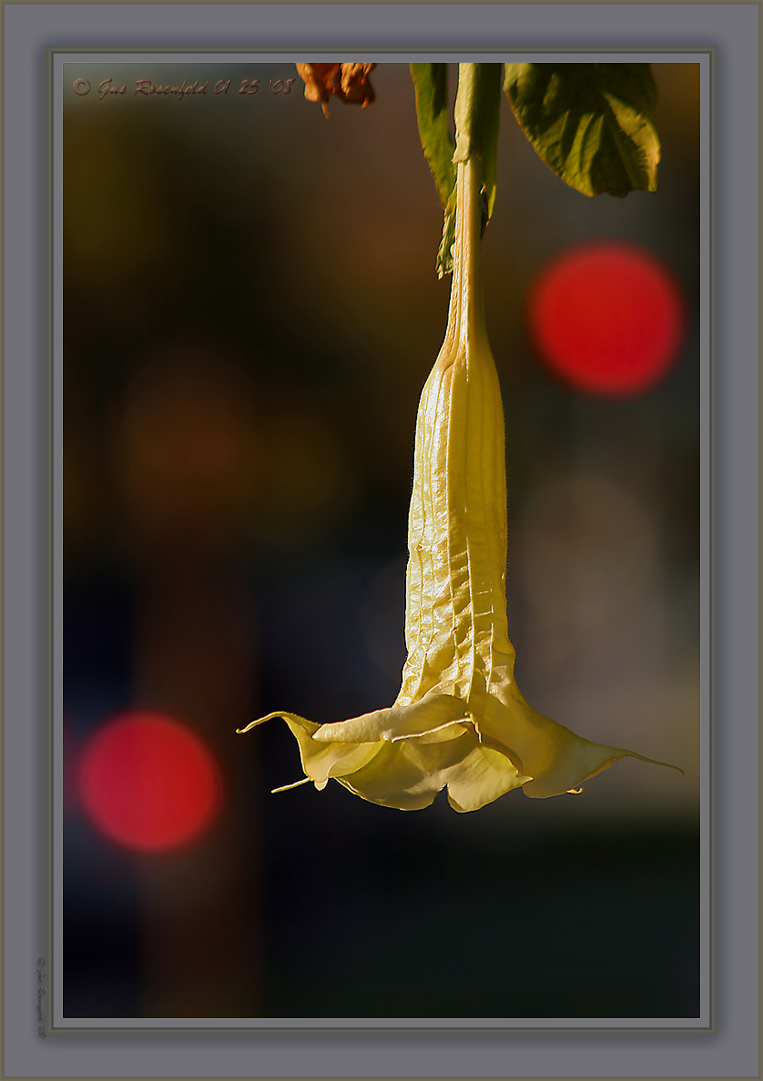  ::  ::  2