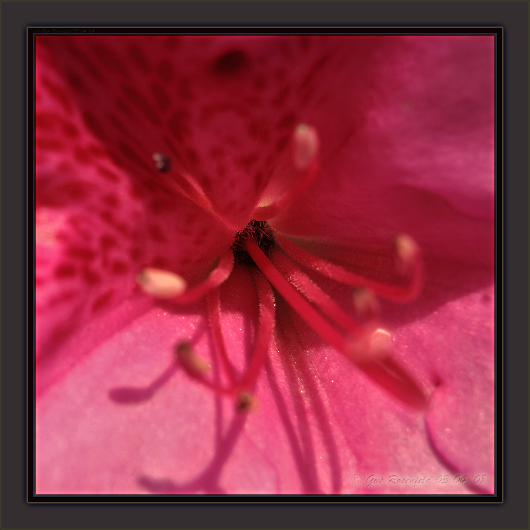  ::  ::  2