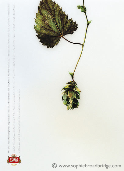  ::  Sophie Broadbridge ::  2