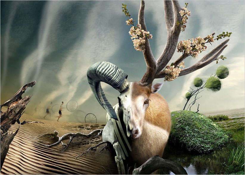  :: Stanislav Jagelo ::  2
