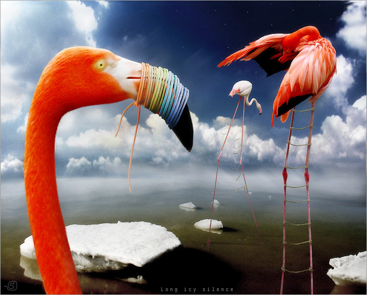  :: Stanislav Jagelo ::  2