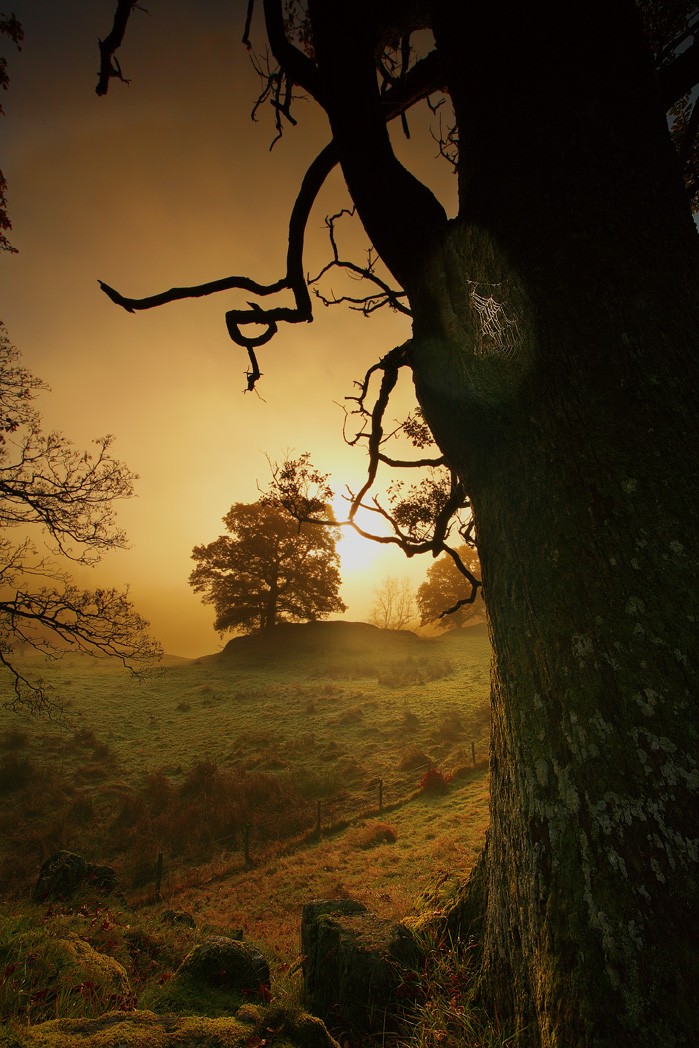  ::  Steve Highfield ::  2