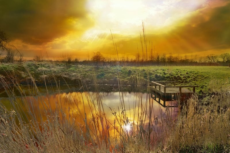  ::  Steve Highfield ::  2