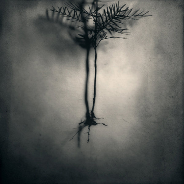   ::  2