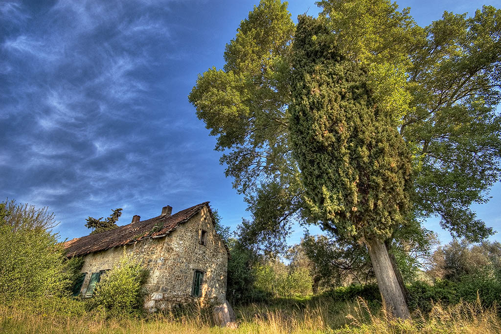  ::   HDR ::  2