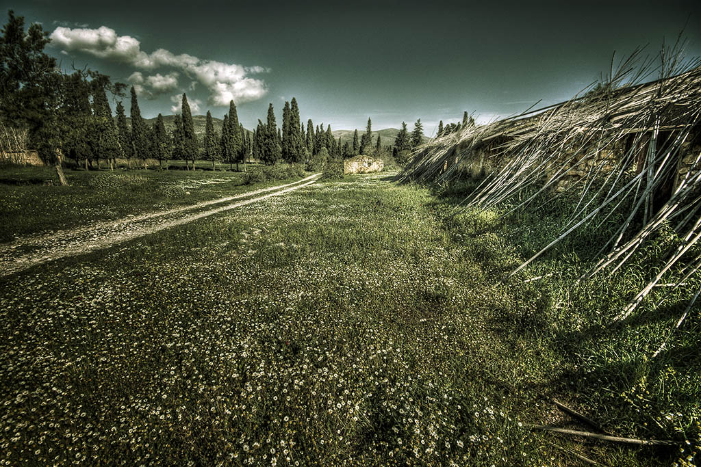  ::   HDR ::  2