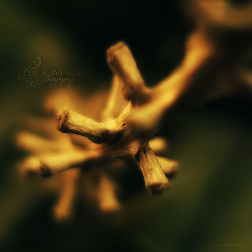   ::  2