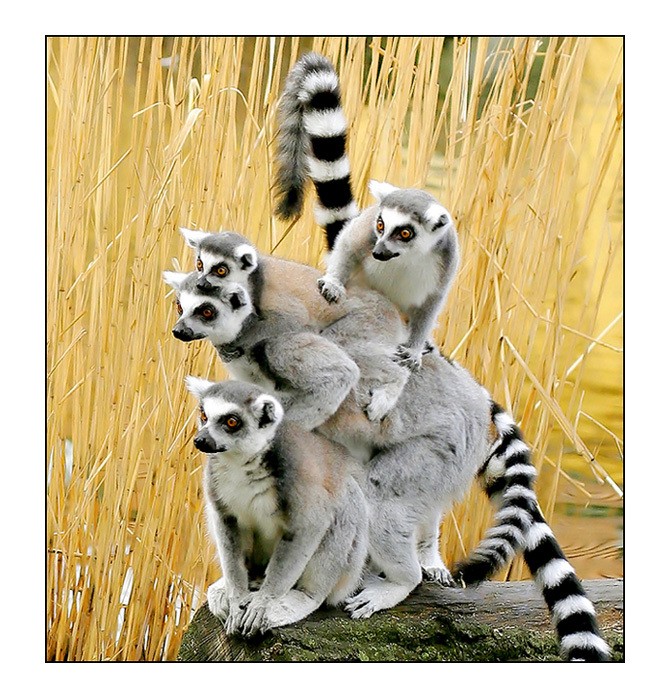   ::   ::  1