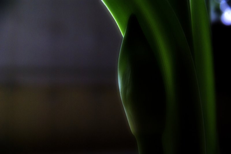  ::   ::  2