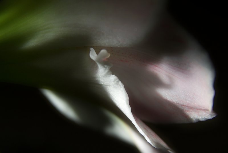  ::   ::  2