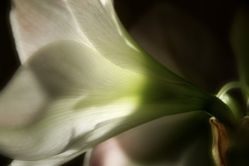  ::   ::  2