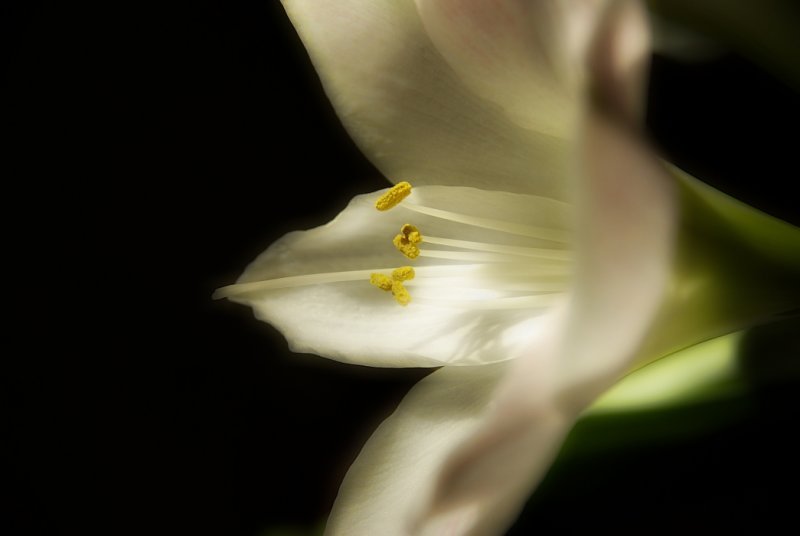  ::   ::  2