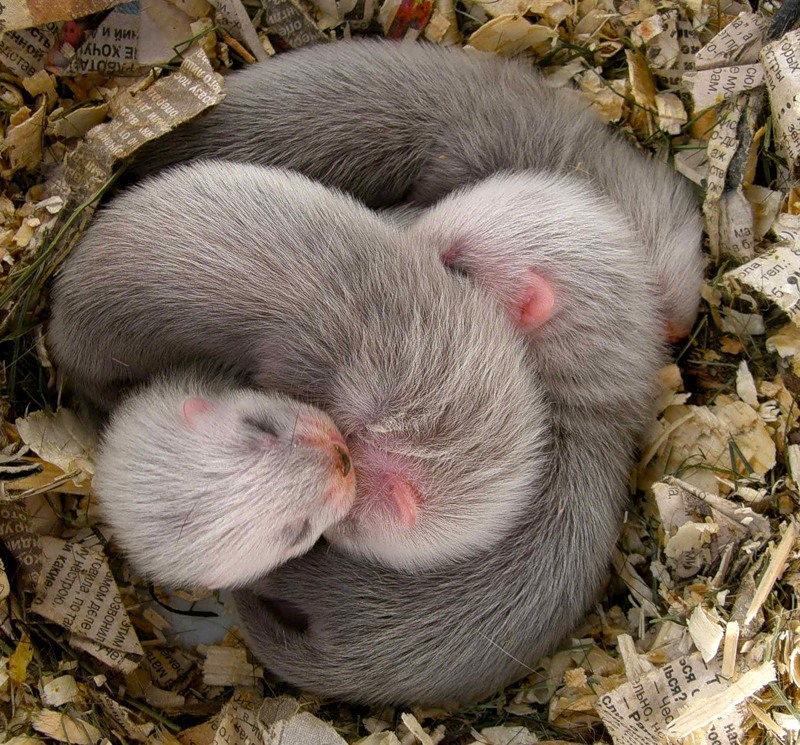   ::  ::  2