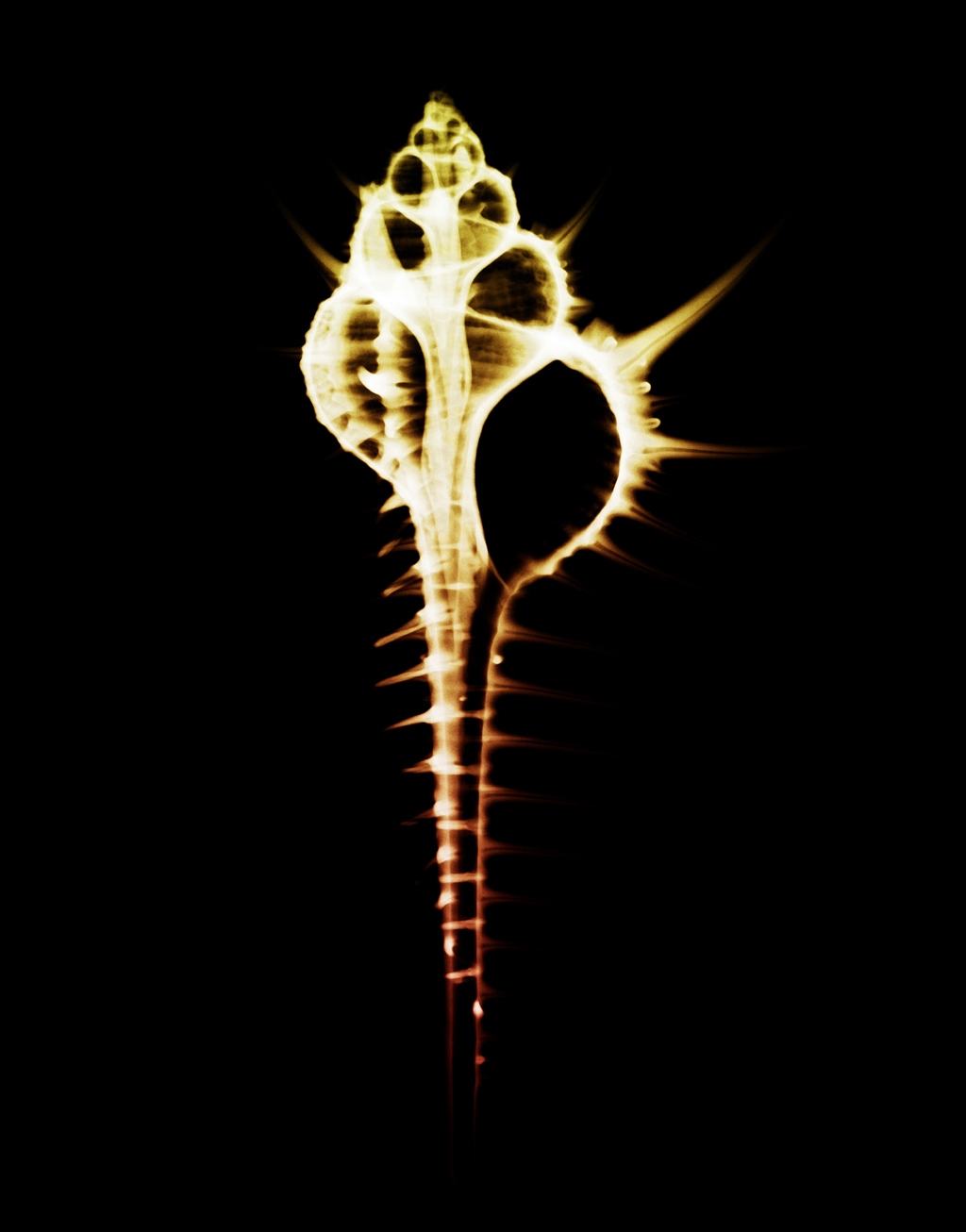  ::  ::  2