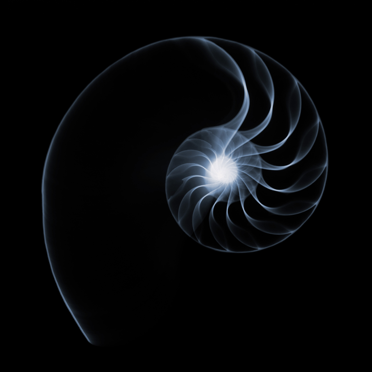  ::  ::  2