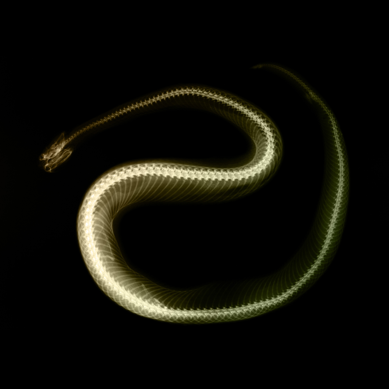  ::  ::  2