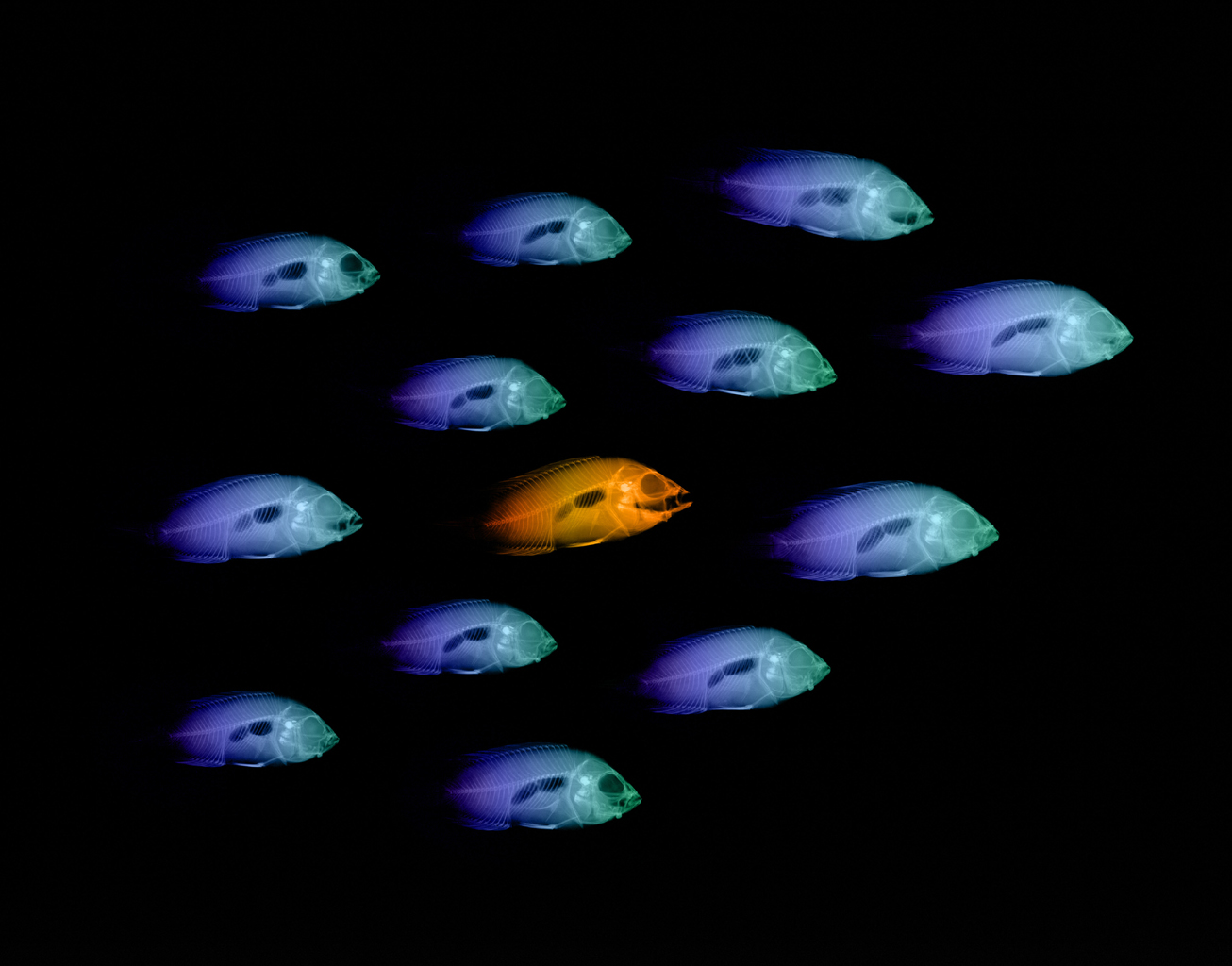  ::  ::  2
