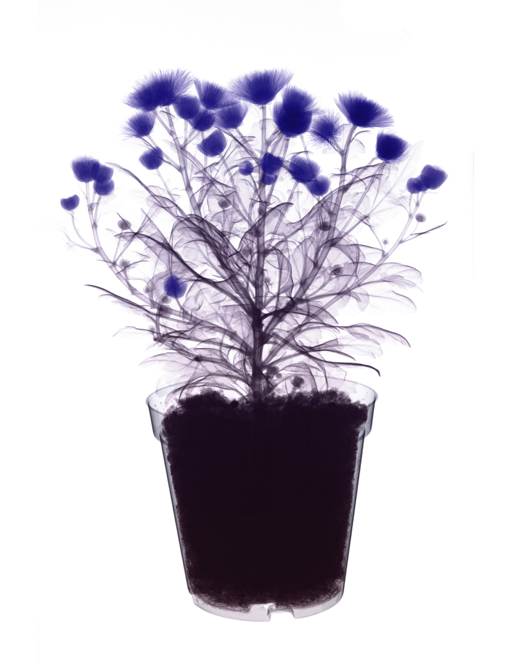  ::  ::  2