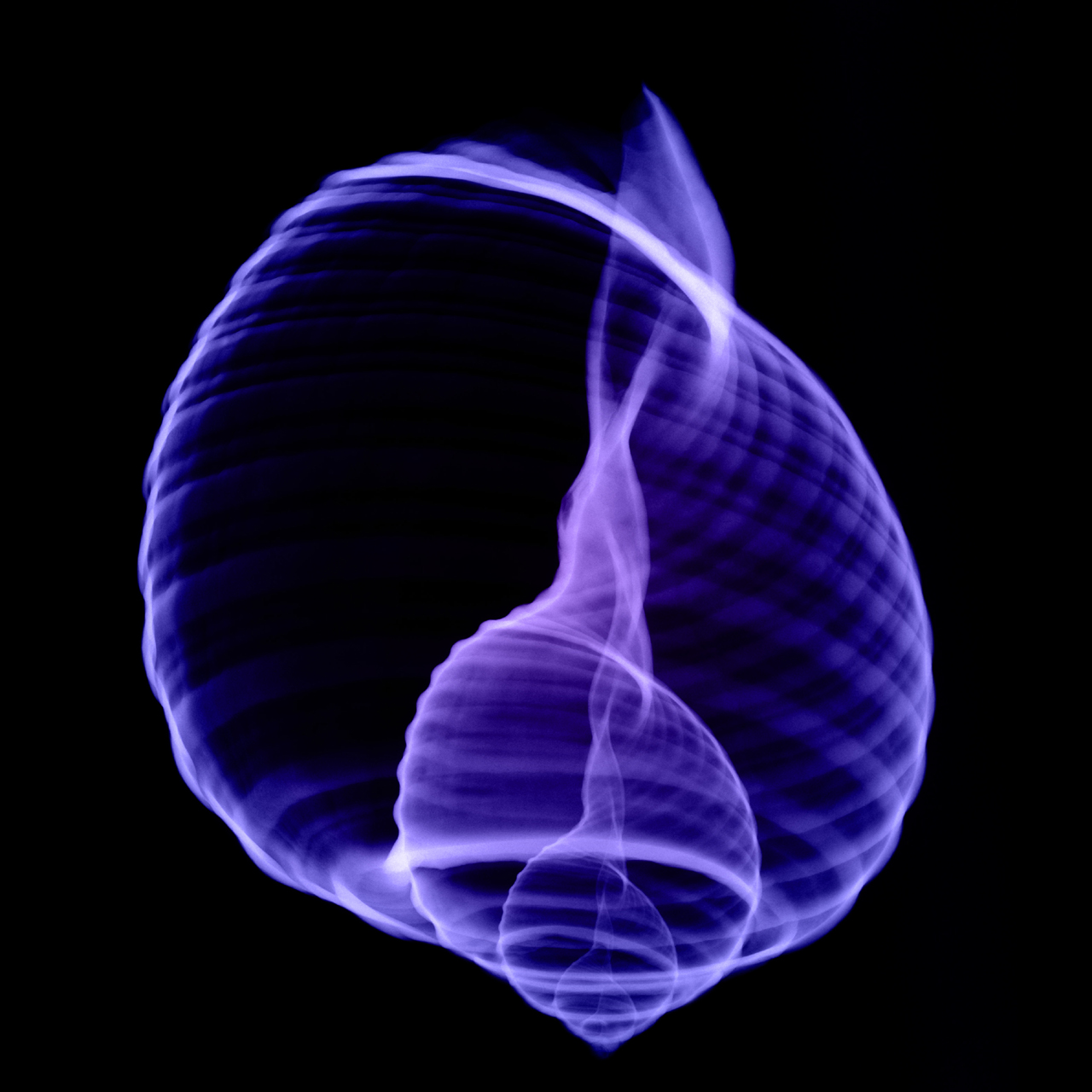  ::  ::  2
