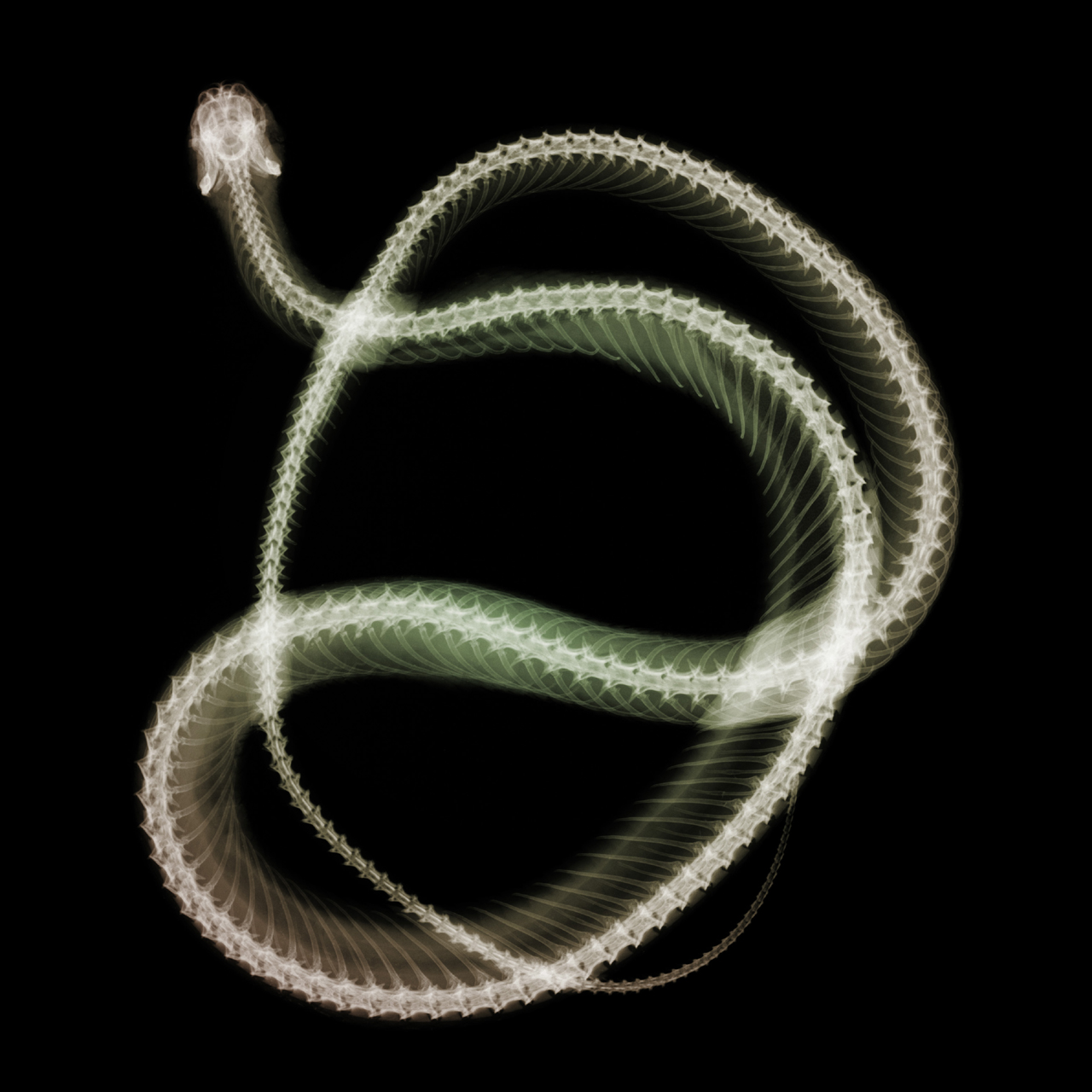  ::  ::  2