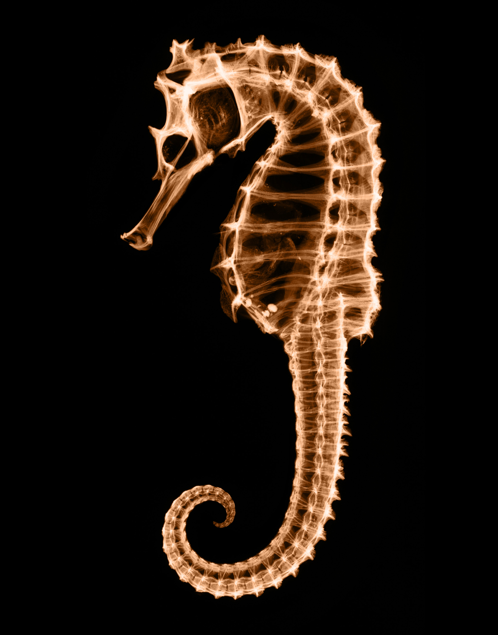  ::  ::  2