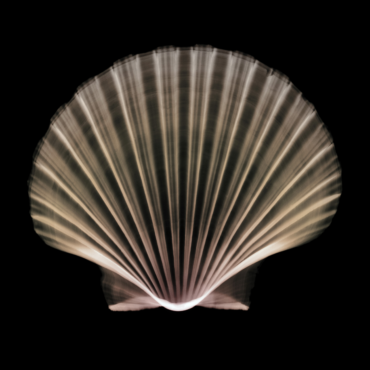  ::  ::  2