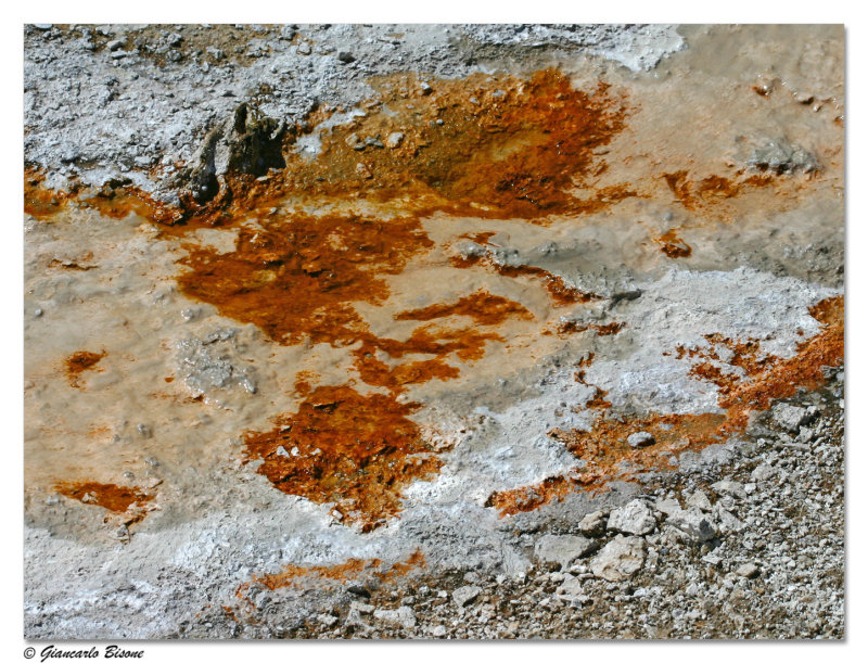  ::   Yellowstone ::  2