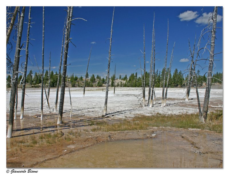  ::   Yellowstone ::  2