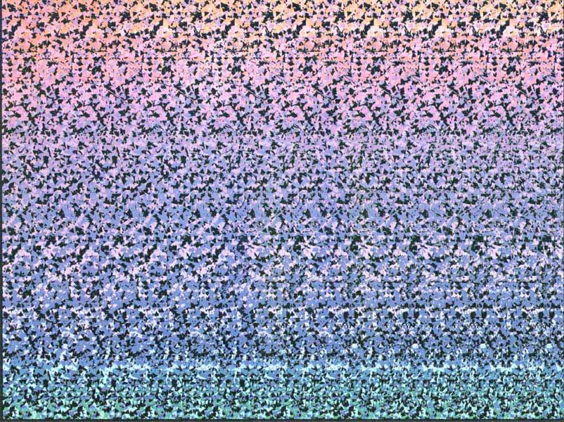 �������� �������� :: �������������� :: ���������� 1