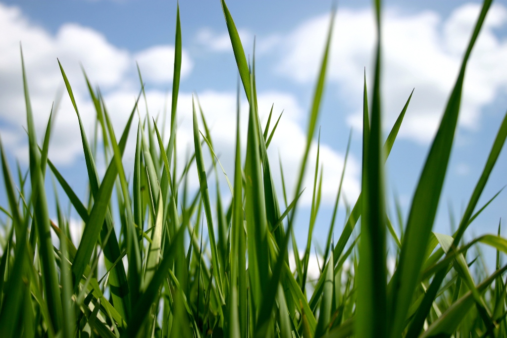 ���� �� ������� ���� :: ������ :: ���������� 1