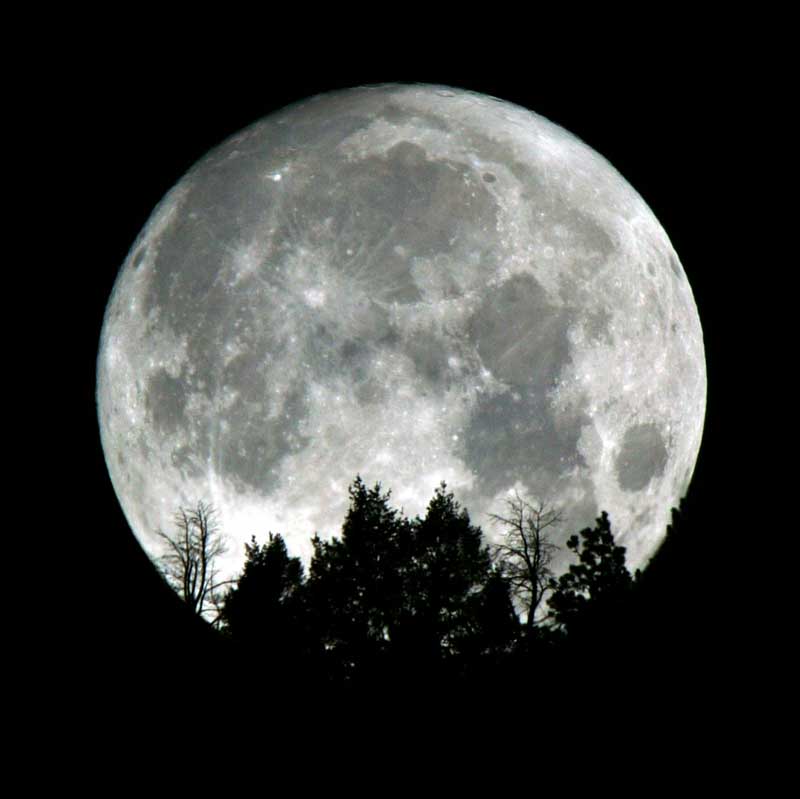 Луна исполняет. Луна. Изображение Луны. Луна фото. Красивая Луна.