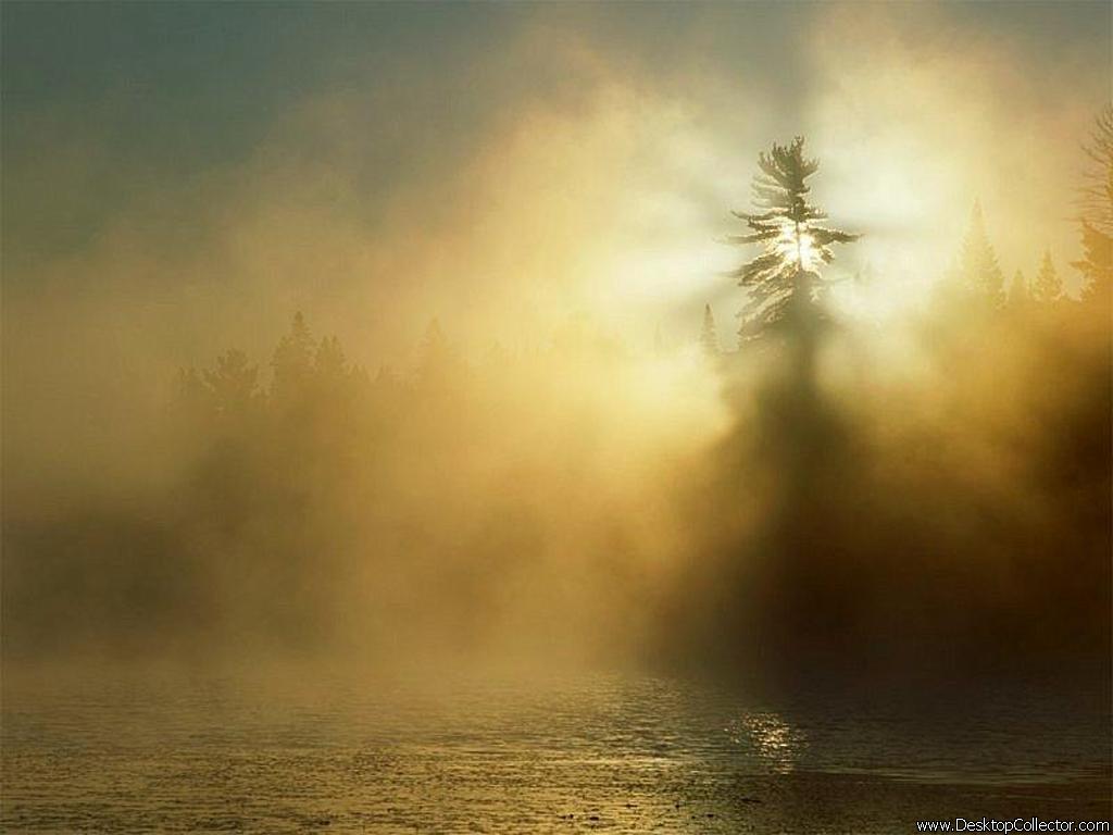 ���� �� ������� ���� :: ������� :: ���������� 1