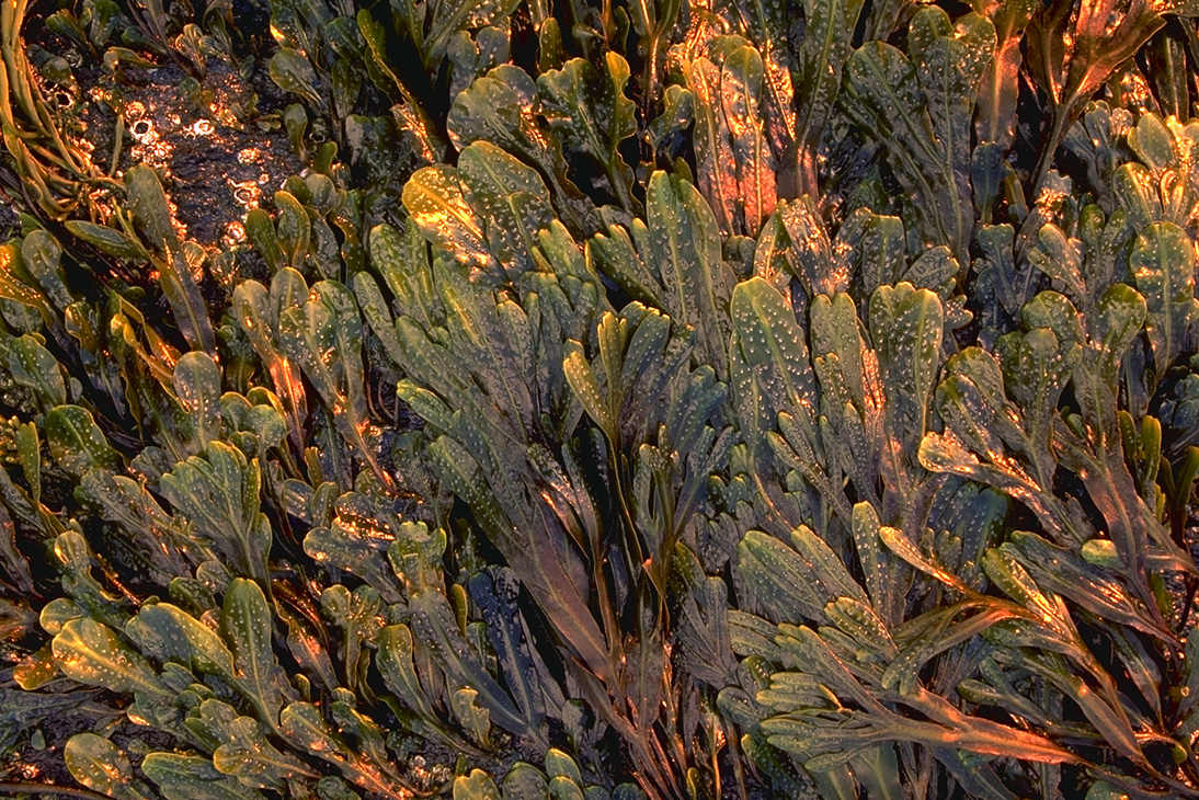 ���� �� ������� ���� :: ������� :: ���������� 1