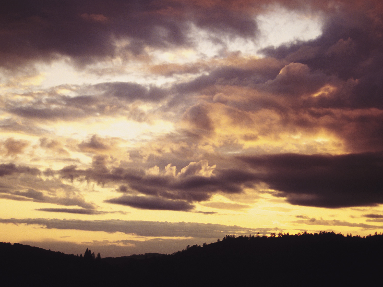 ���� �� ������� ���� :: ������� :: ���������� 1