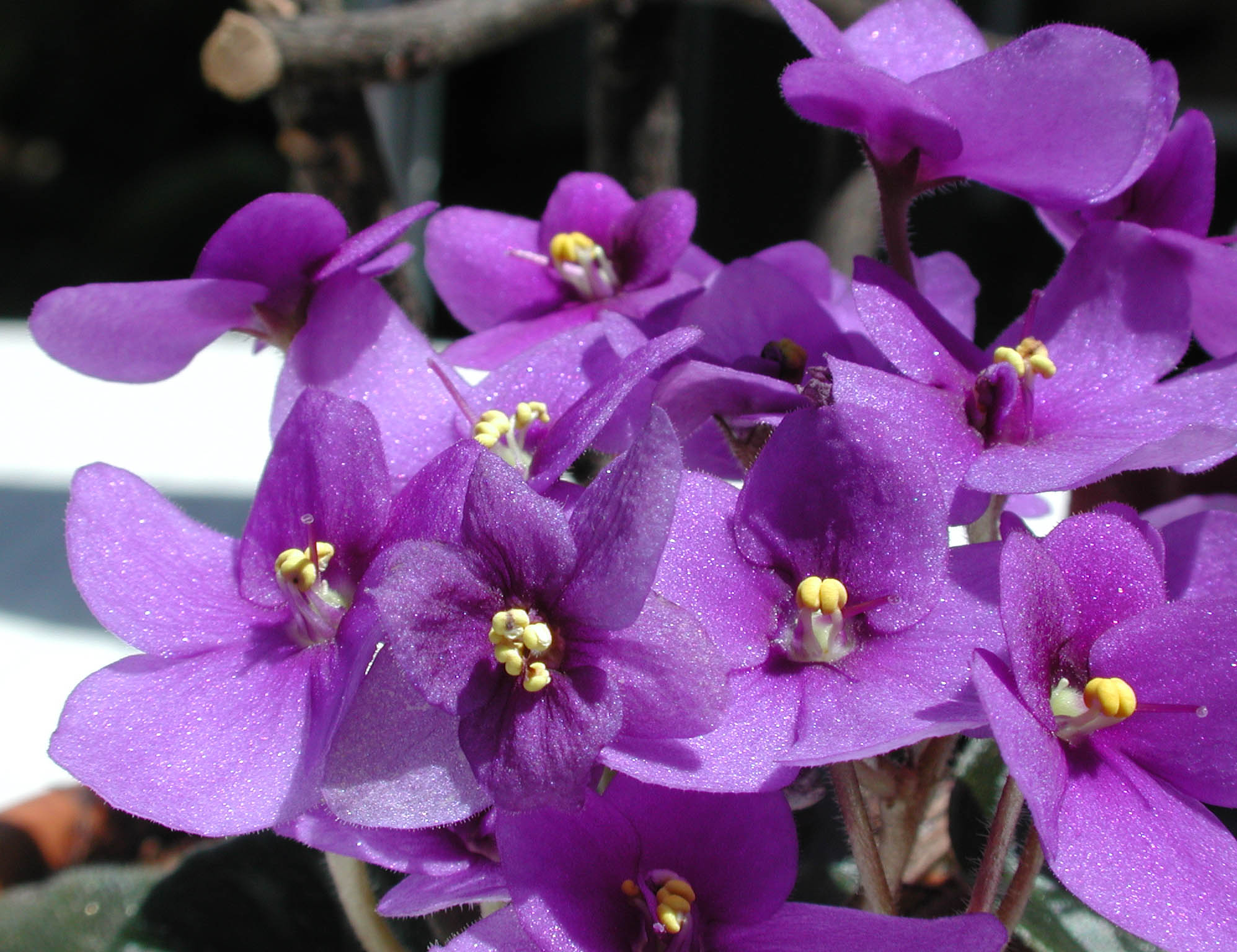 ���� �� ������� ���� :: ������� :: ���������� 1