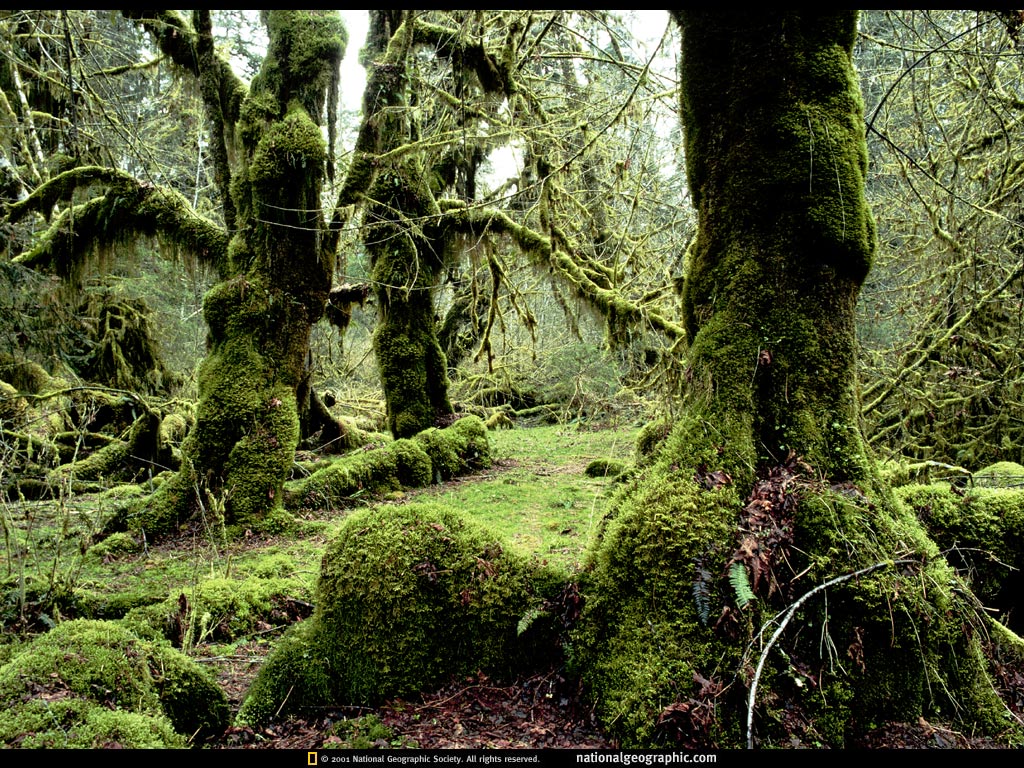 ���� �� ������� ���� :: ������� :: ���������� 1