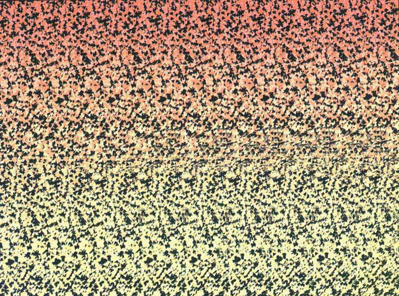 �������� �������� :: ������ �������� :: ���������� 1