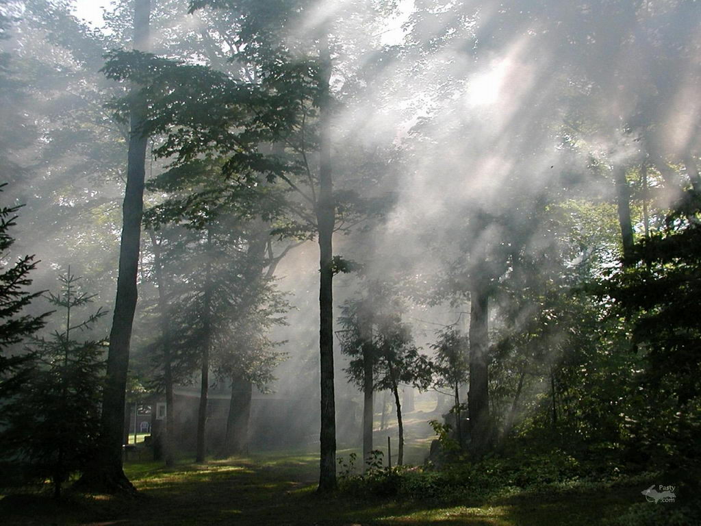 ���� �� ������� ���� :: ��������� �����-���� 2006 :: ���������� 1