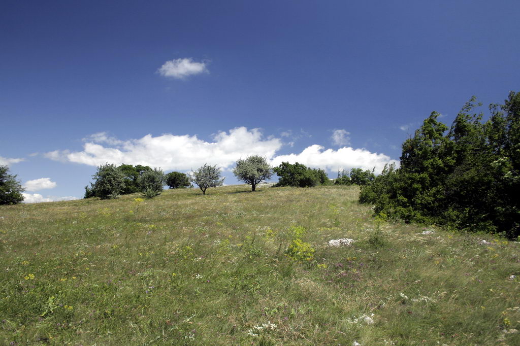 ���� �� ������� ���� :: ������� ������ ������ ����� :: ���������� 1