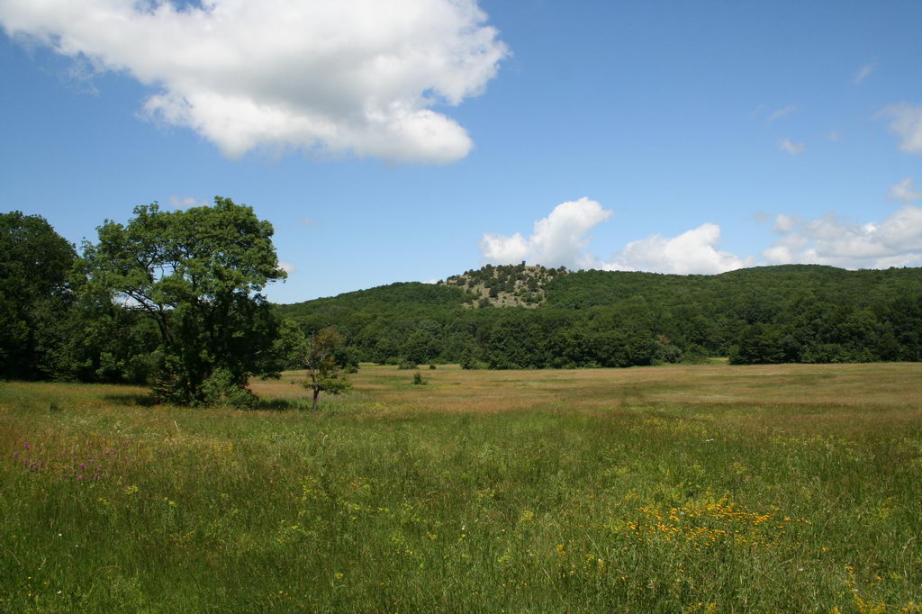 ���� �� ������� ���� :: ������� ������ ������ ����� :: ���������� 1