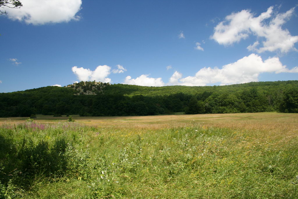 ���� �� ������� ���� :: ������� ������ ������ ����� :: ���������� 1